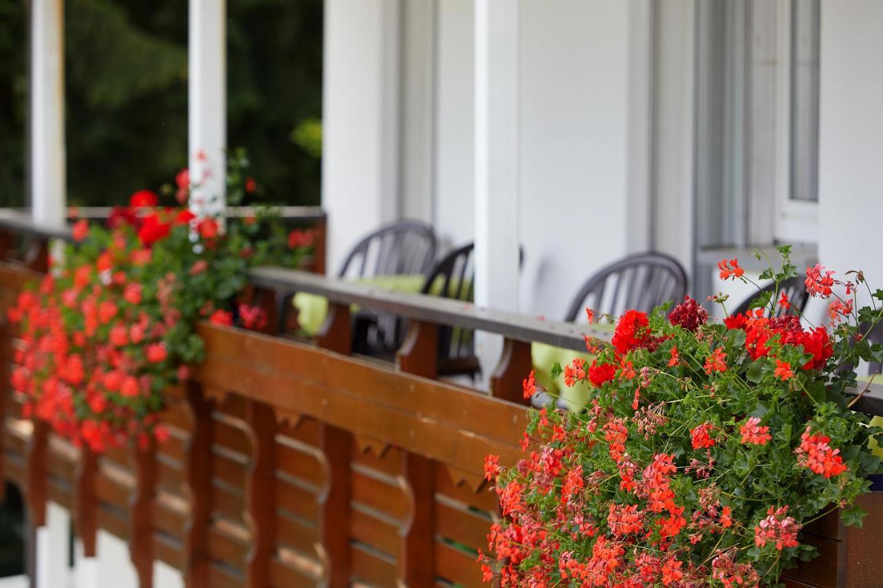 Tannmuehle Hotel Und Restaurant Gmbh Callenberg Екстер'єр фото