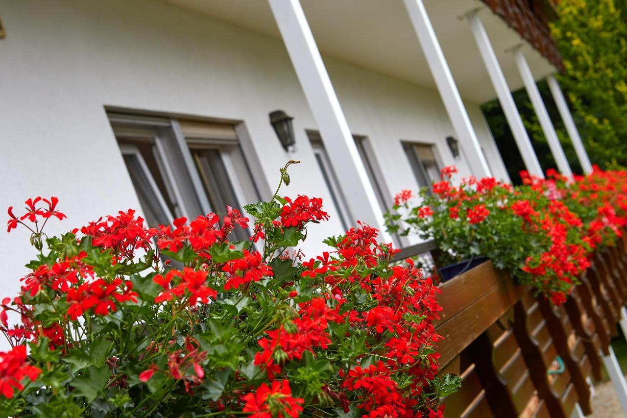 Tannmuehle Hotel Und Restaurant Gmbh Callenberg Екстер'єр фото